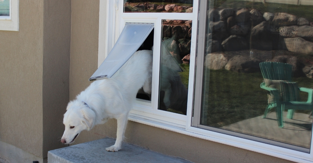 Pet Door Installation Options